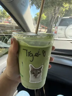 matcha