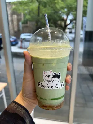 matcha