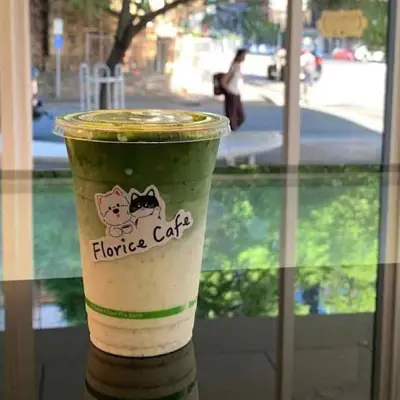 matcha
