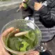 matcha