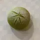Hitea Grote St