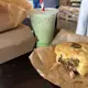 Bake Bakery at the Cove
